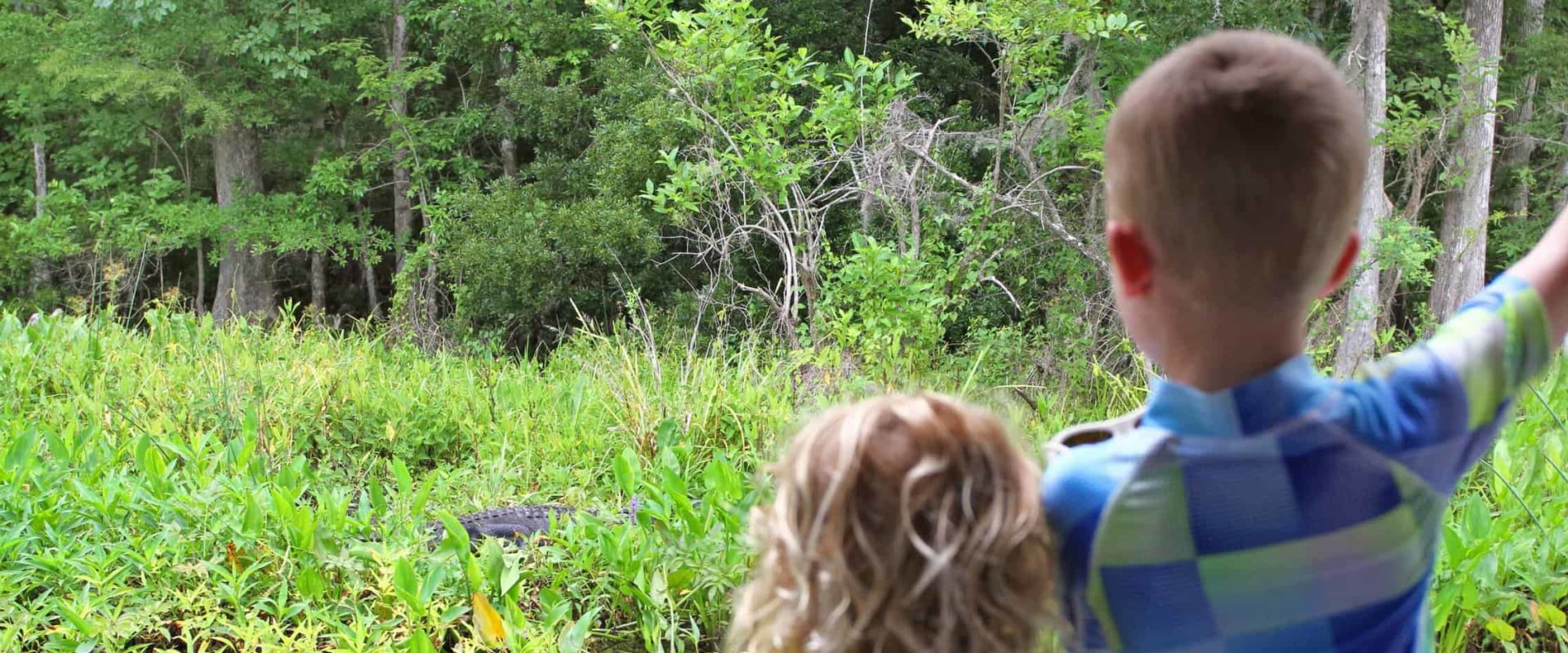 The Best Outdoor Excursion Tours for Families with Kids