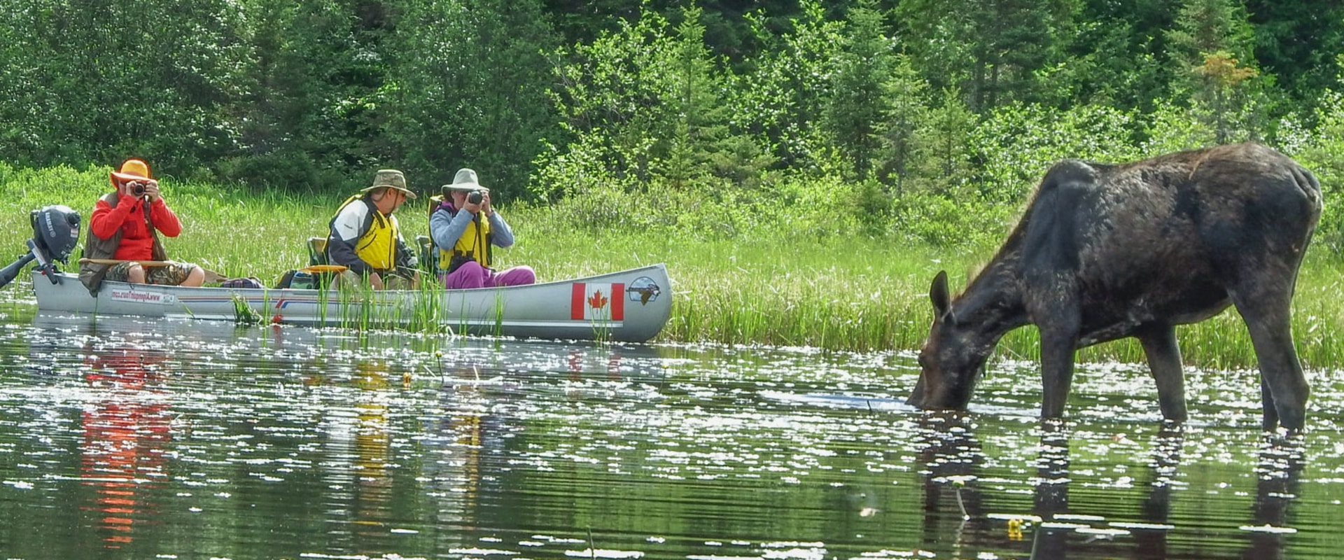 Discover the Wild: Unforgettable Outdoor Excursion Tours for Every Adventurer