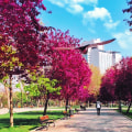 Why outdoor recreation could give social and economic benefits?