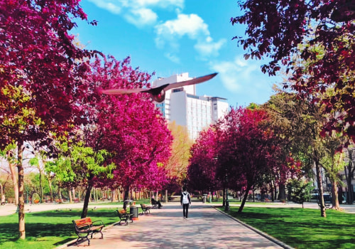 Why outdoor recreation could give social and economic benefits?