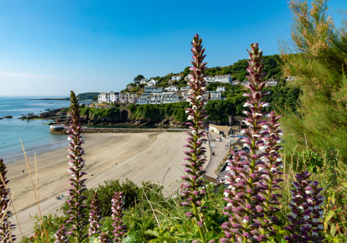 Discover Hidden Gems: What Makes Outdoor Excursion Tours Worth the Journey