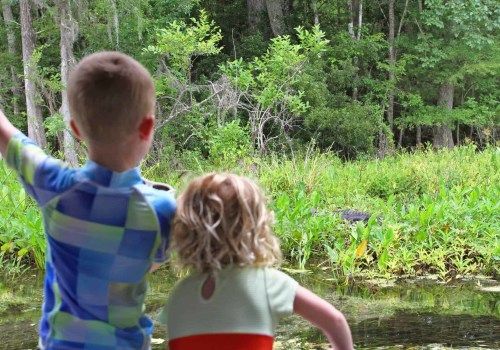 The Best Outdoor Excursion Tours for Families with Kids
