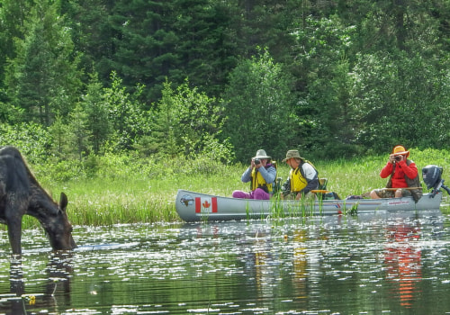 Discover the Wild: Unforgettable Outdoor Excursion Tours for Every Adventurer